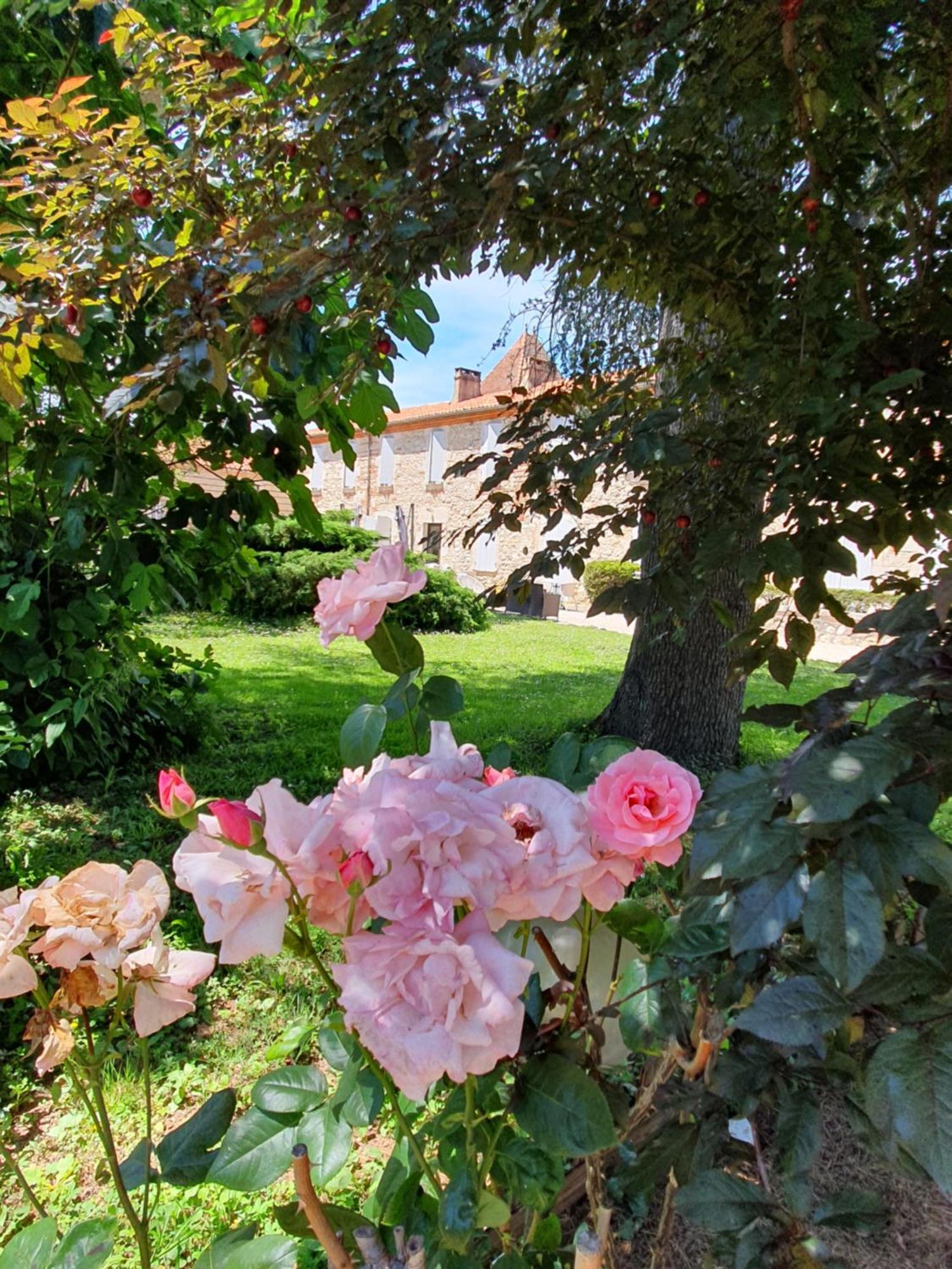 Logis Hotel Le Prince Noir Sérignac-sur-Garonne المظهر الخارجي الصورة